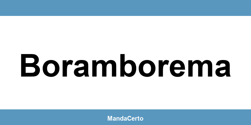 Telefone da agência dos Correios em Boramborema