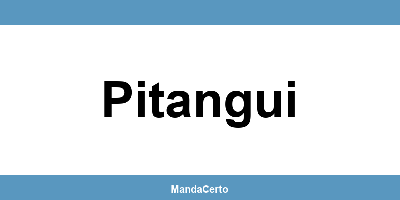 Telefone da agência dos Correios em Pitangui
