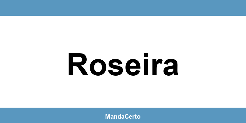 Telefone da agência dos Correios em Roseira