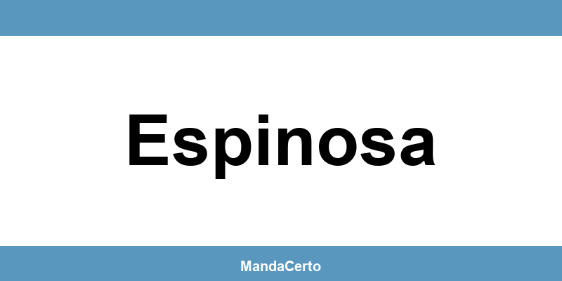 Telefone da agência dos Correios em Espinosa