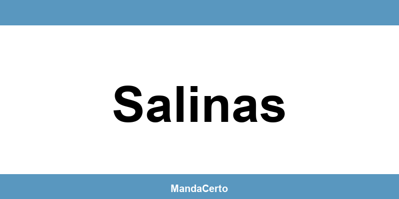 Telefone da agência dos Correios em Salinas